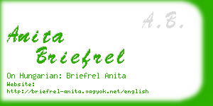 anita briefrel business card